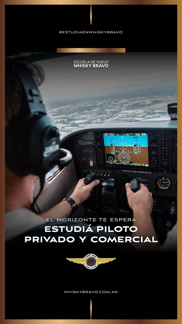 Piloto comercial de avion